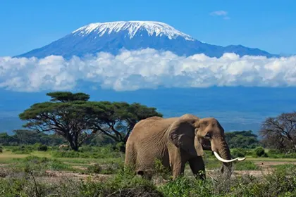 London Kilimanjaro with Kenya Airways